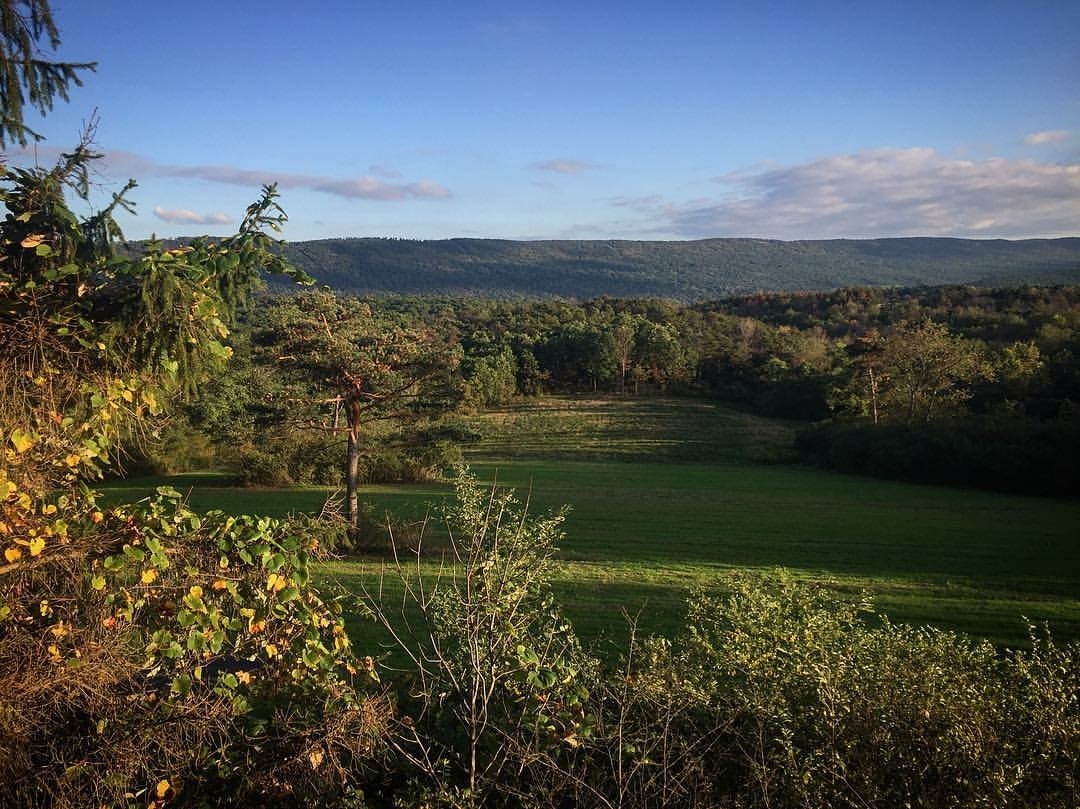 Pennsylvania Hunting Preserve